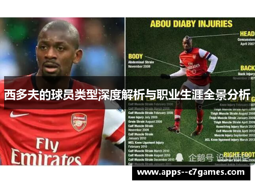 西多夫的球员类型深度解析与职业生涯全景分析 西多夫的球员类型深度解析与职业生涯全景分析
