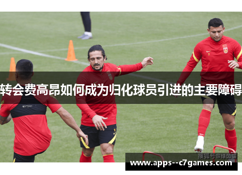转会费高昂如何成为归化球员引进的主要障碍 转会费高昂如何成为归化球员引进的主要障碍