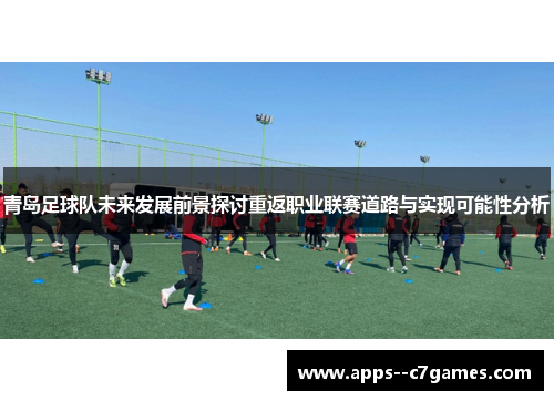 青岛足球队未来发展前景探讨重返职业联赛道路与实现可能性分析